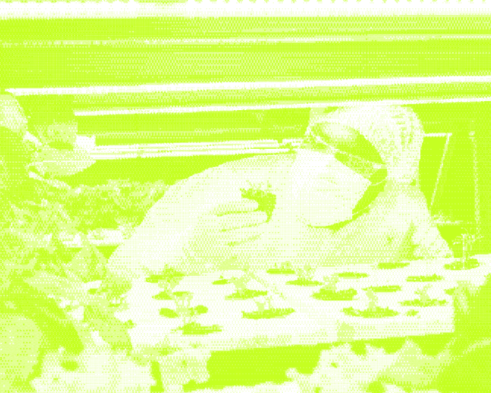 Word je <br/>[times]Data[/times]<br/>de baas!